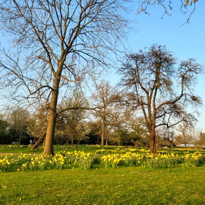 Adrian. 🇷🇴 post 2