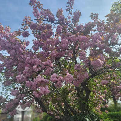 Adrian. 🇷🇴 post 2