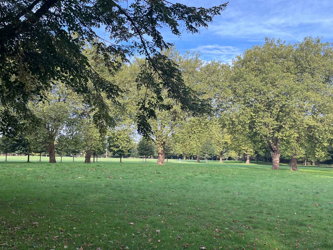 walking near me in Summerfield Park in autumn