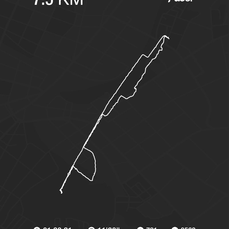 PacerТоварищ post 1