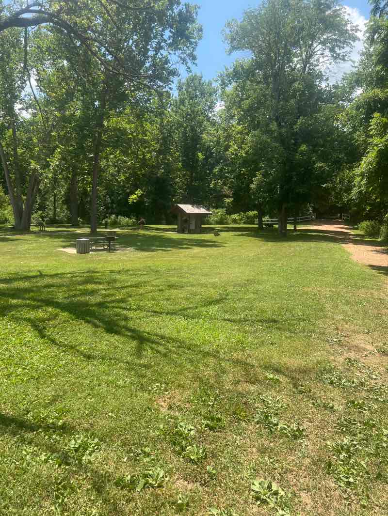 walking near me in Sandy Creek Covered Bridge State Historic Site in summer