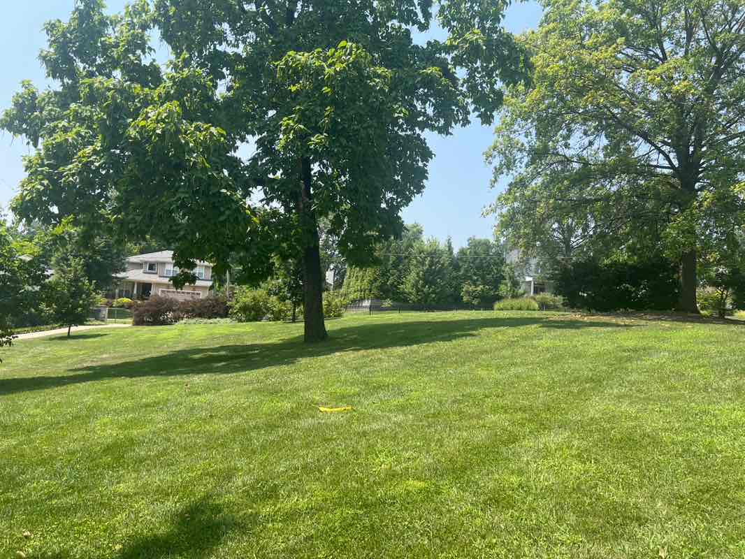 walking near me in Fillmore Park in autumn