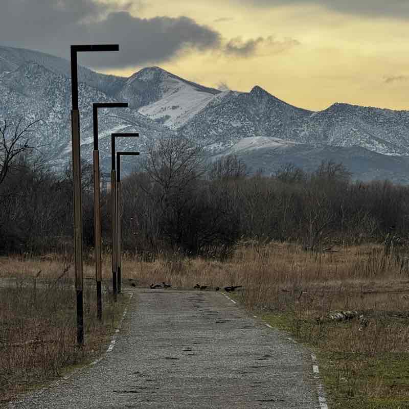 Эльвира post 3