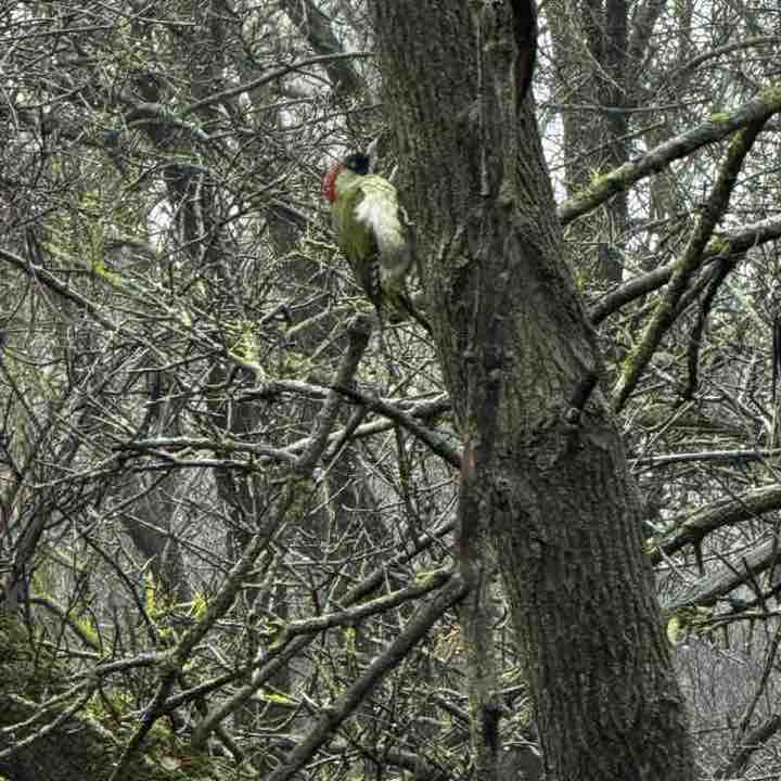 Эльвира post 3