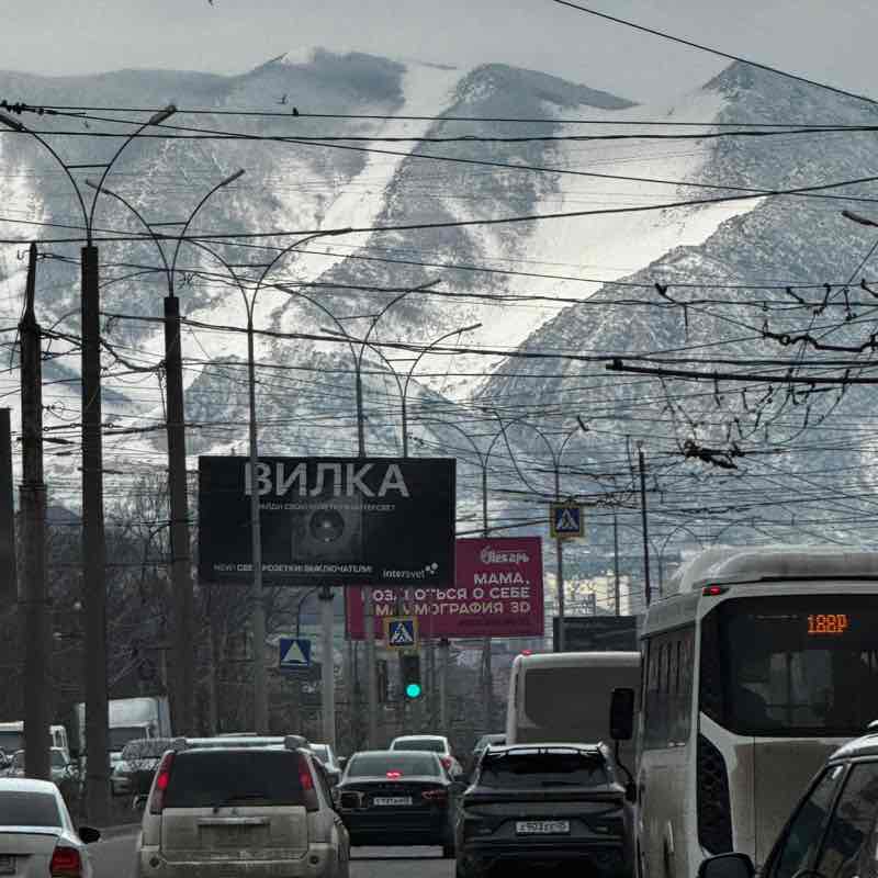 Эльвира post 2