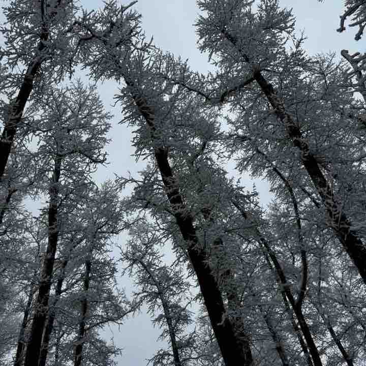 Эльвира post 2