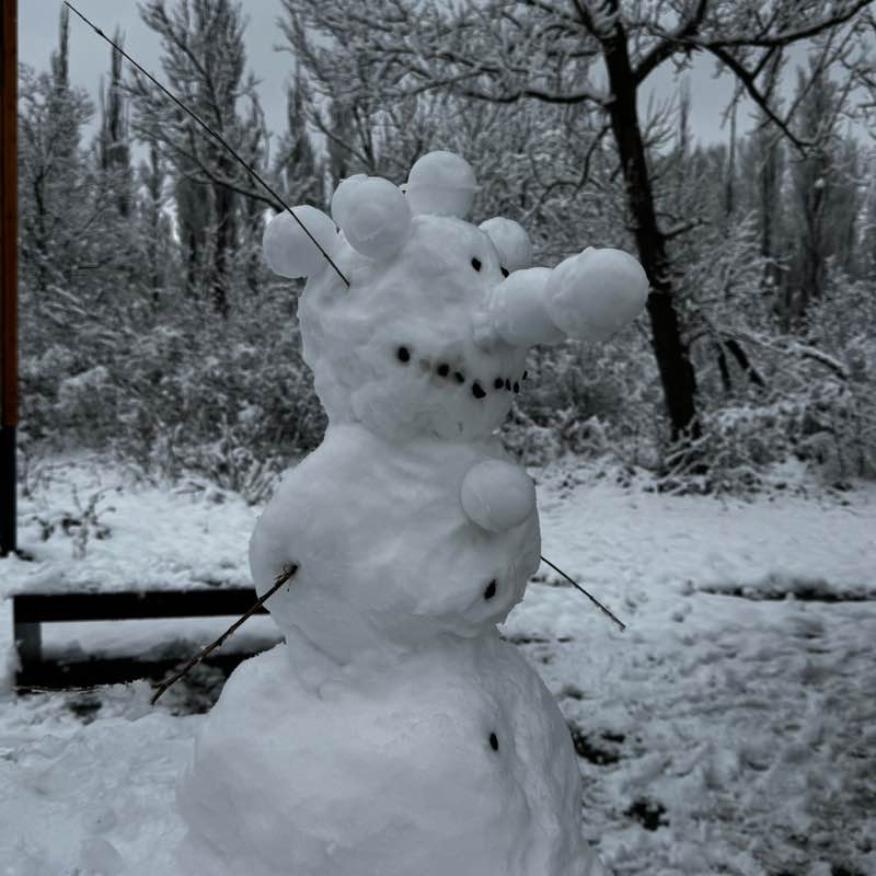 Эльвира post 3