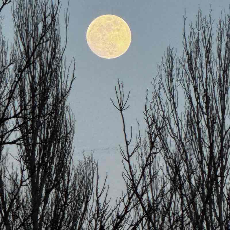 Эльвира post 2