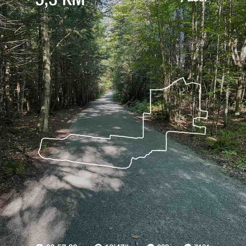 lynerenouveau post 1