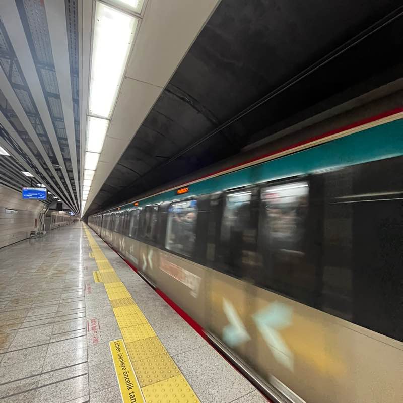 delaramamirfaridi post 3