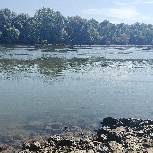 Maël👣🦜 profile