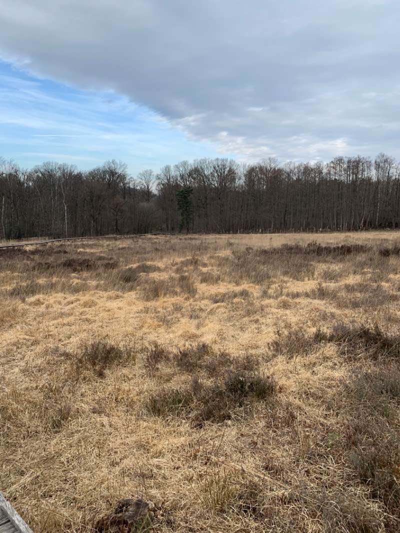 walking near me in Blotevoetenpark in winter