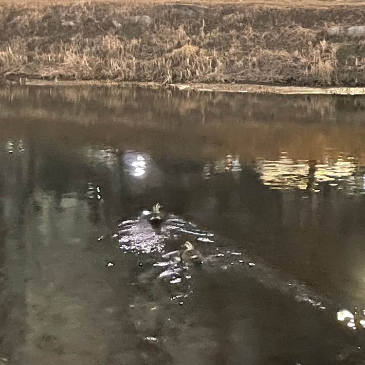 ♥️Amy💖스램꺼💕 post 3