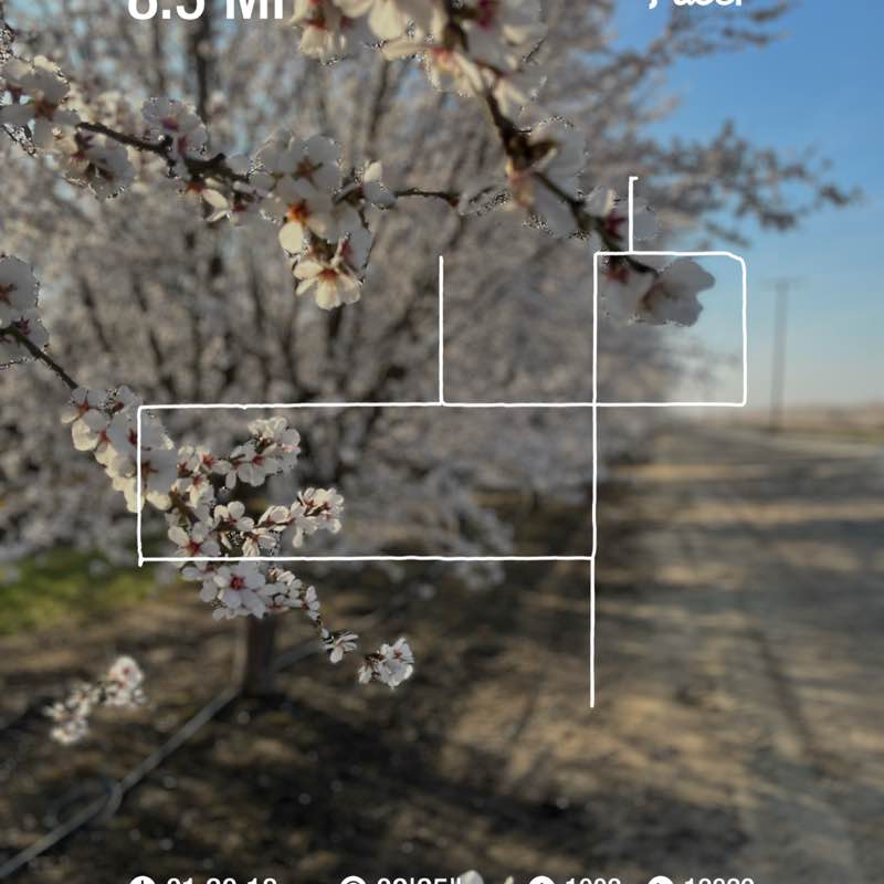 jose g ramirez garcia post 1