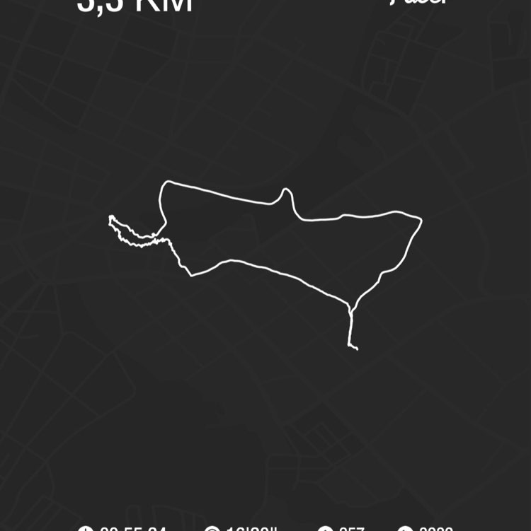 PacerТоварищ post 1