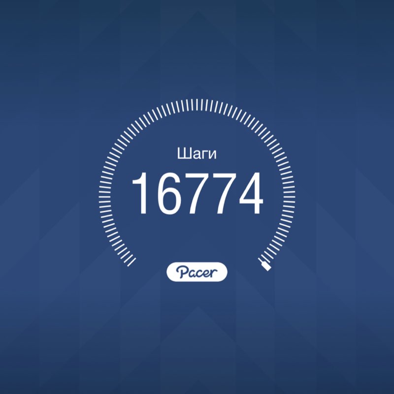 PacerТоварищ post 1