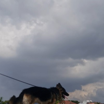 Alkebu-lan ( አልኪ ቡላን ) RUSTOM, H post image