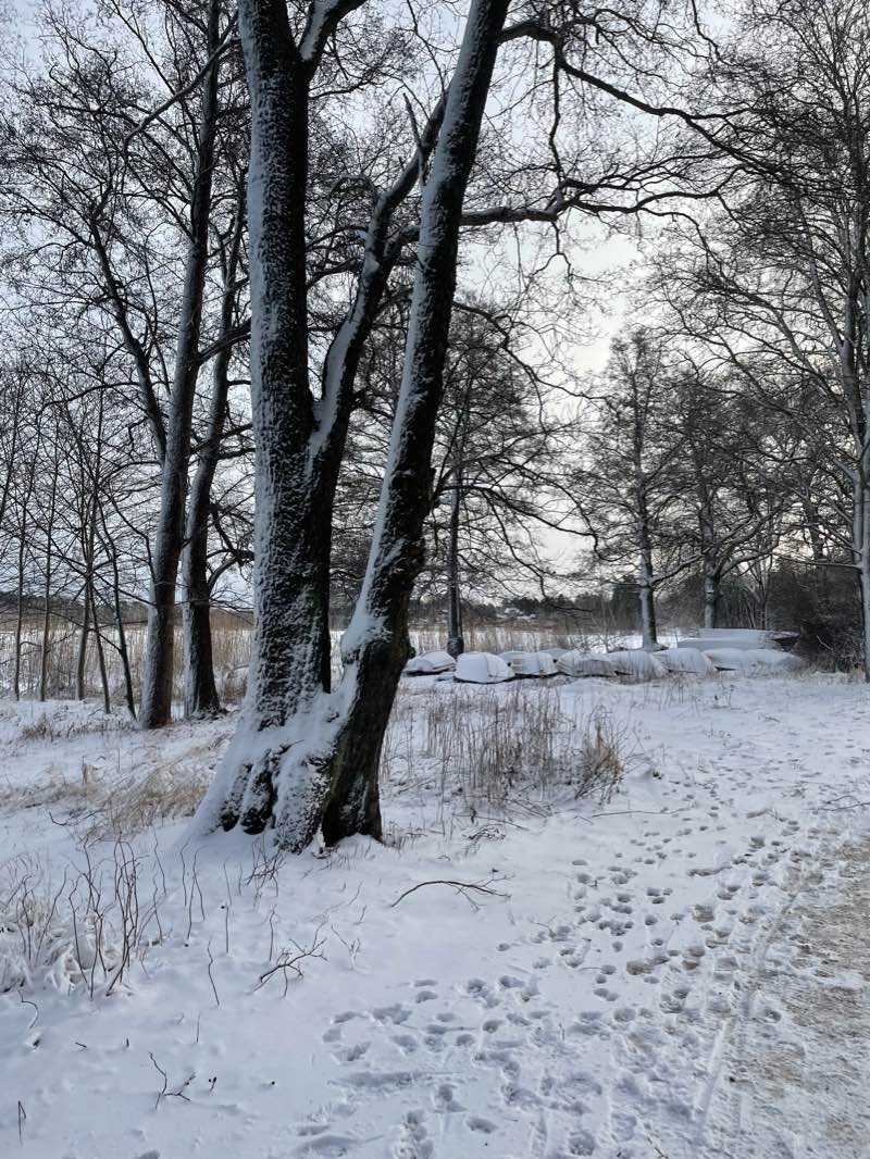 walking near me in Libbyängen in winter