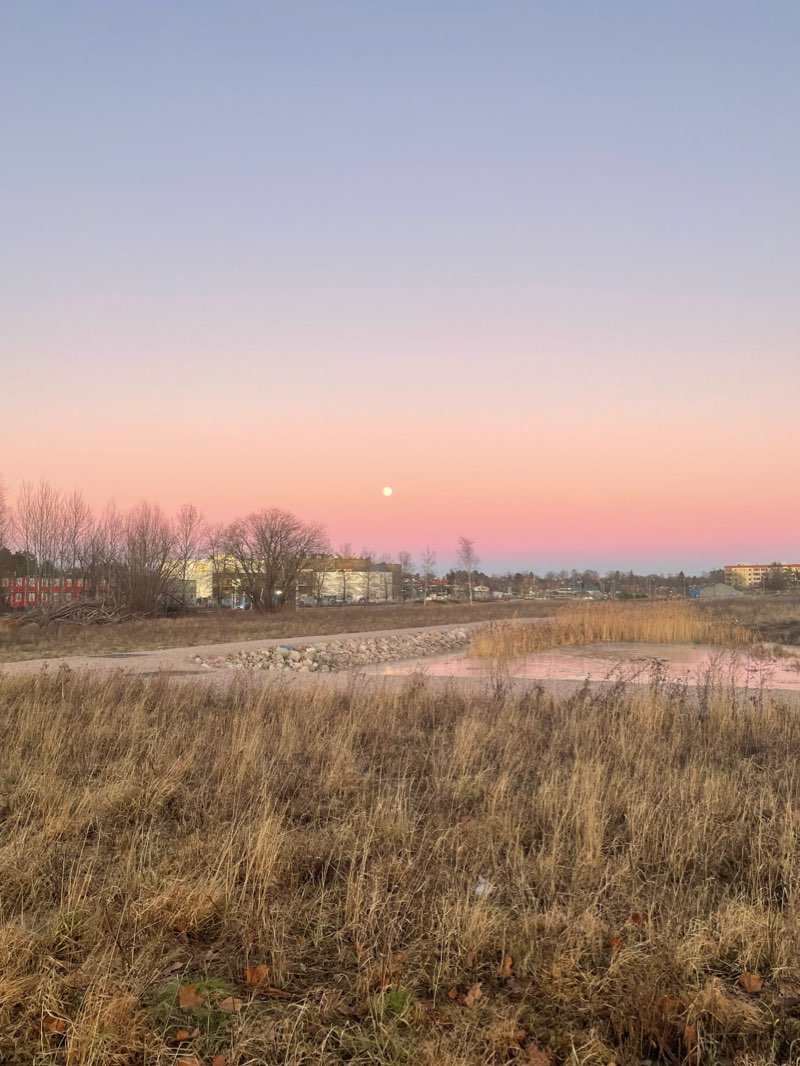 walking near me in Virauddsparken in winter