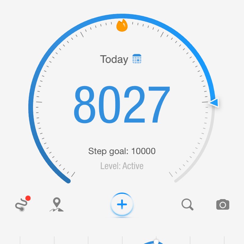 5k steps a day! MyloTrippin post image