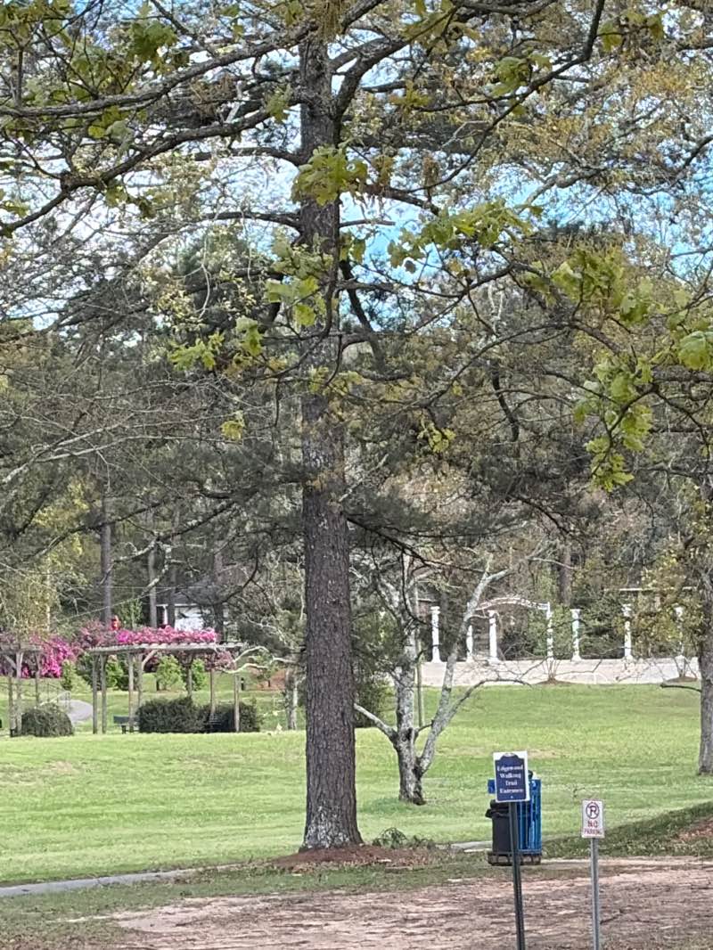 walking near me in Edgewood Park in spring