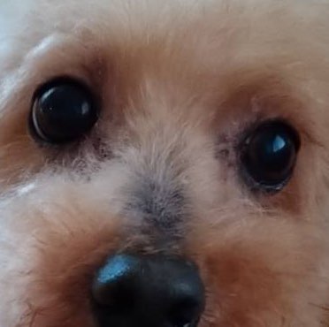 1-E_村上史龍 profile