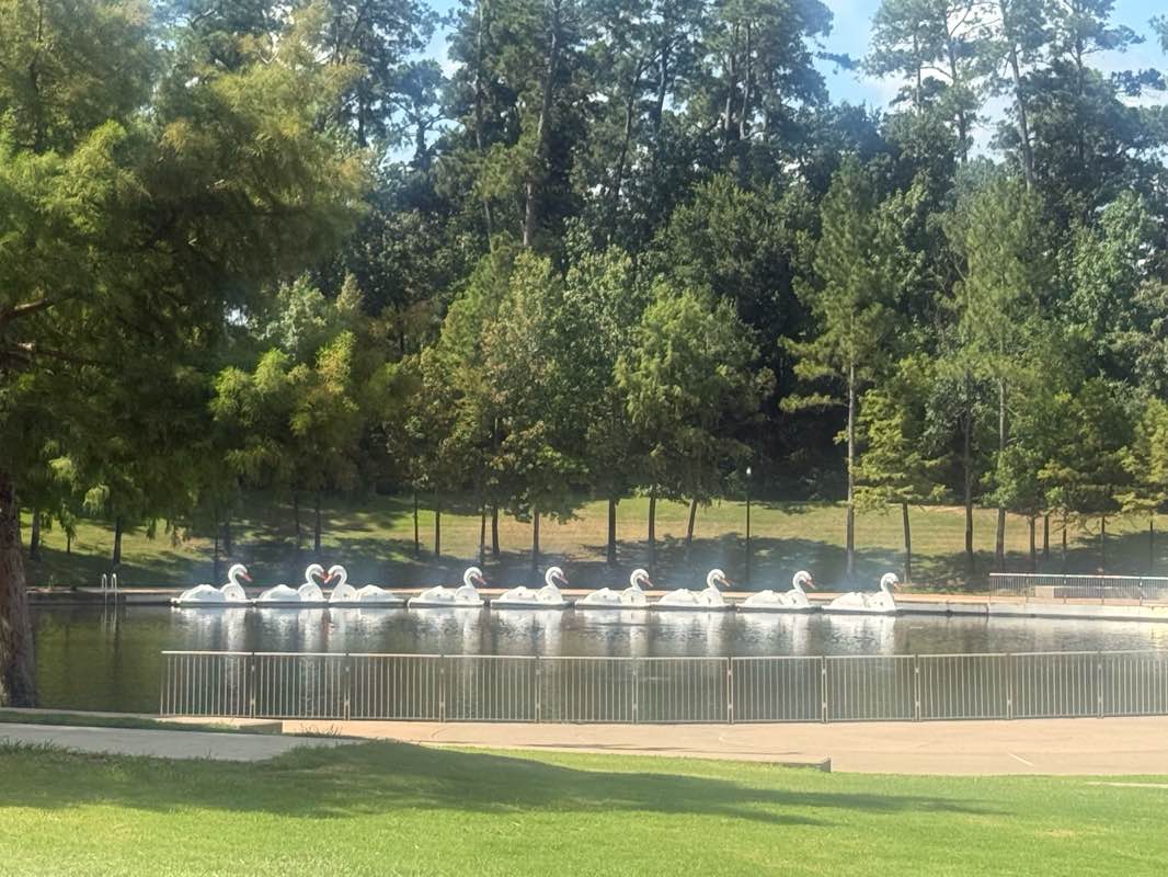 walking near me in Waterway Square in summer