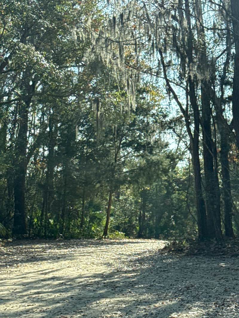 walking near me in Palmetto Island County Park in winter
