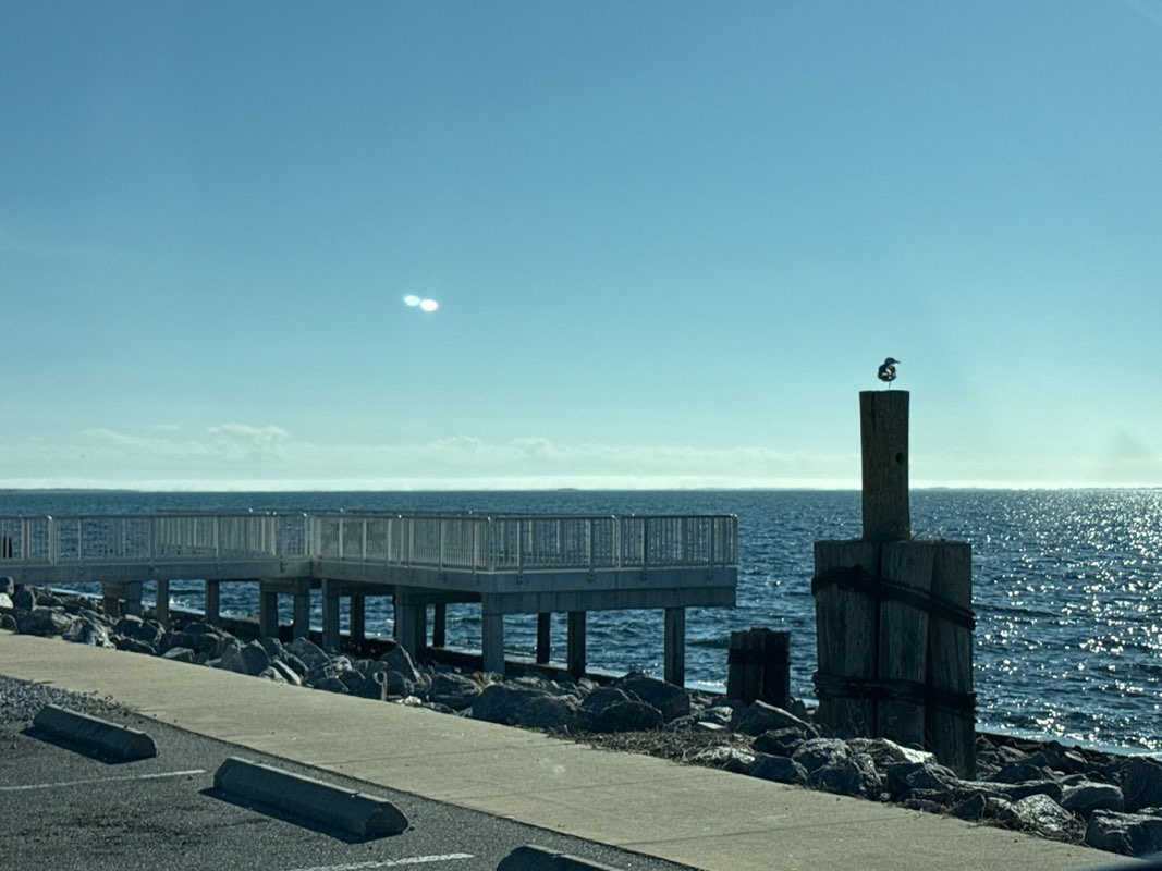 walking near me in Jetty Park in winter