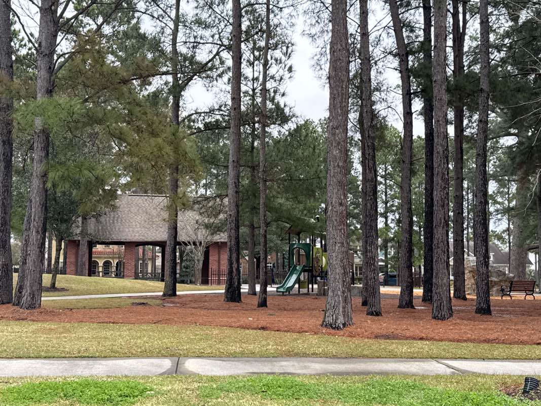 walking near me in Rockwell Park in winter