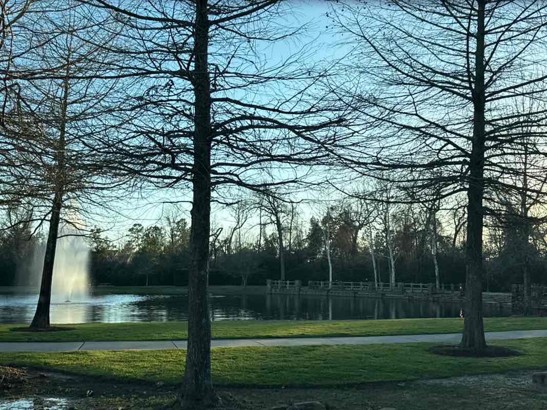 walking near me in Rob Fleming Park in spring
