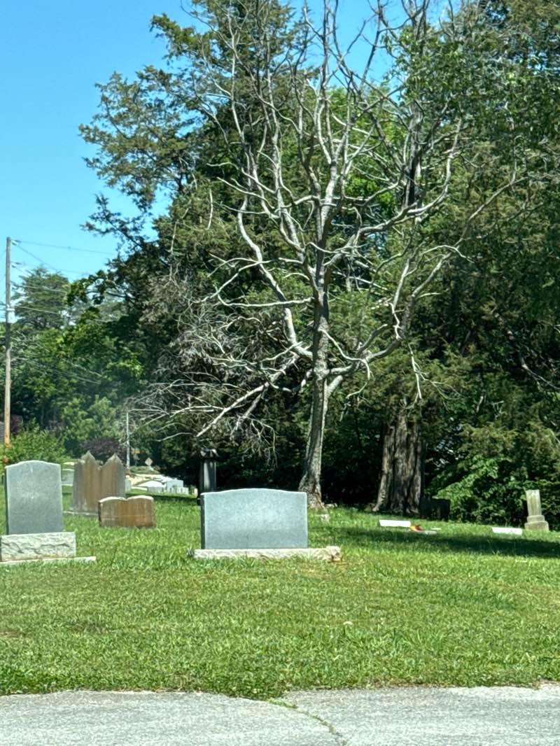 walking near me in Solway Park in spring