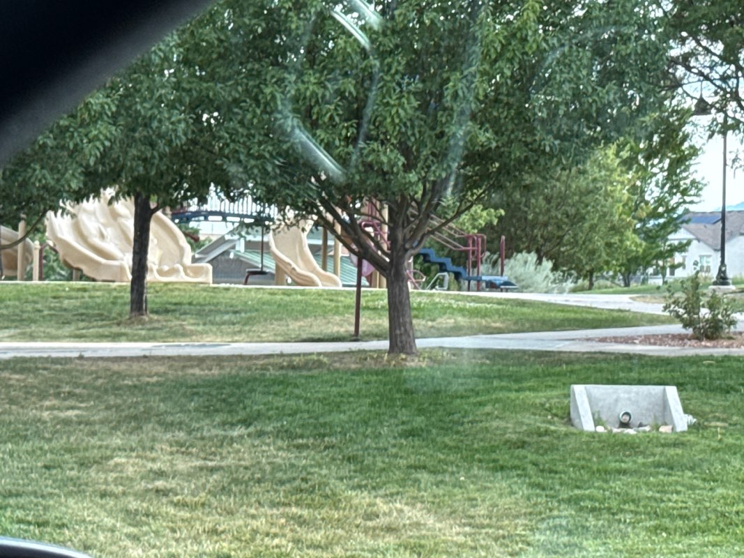 walking near me in Founders Park in summer