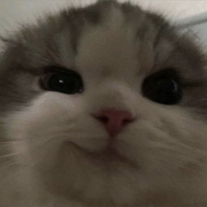 Isaac Wong (2Wonder/37)