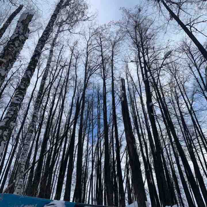 Анастасия Магина ЦО post 1