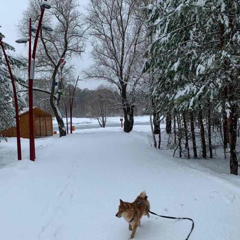 Анастасия Магина ЦО post 1