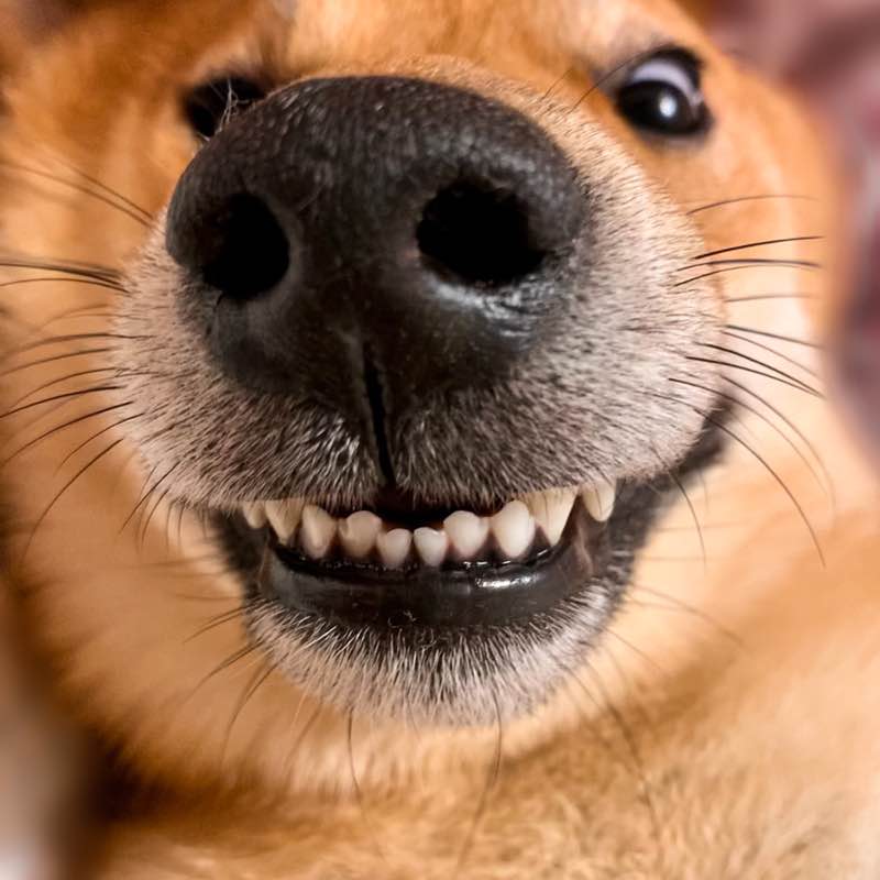 Анастасия Магина ЦО post 1