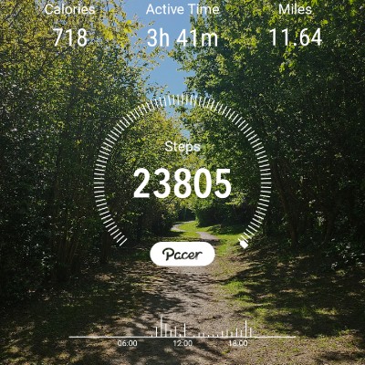 Travelwalker post 1