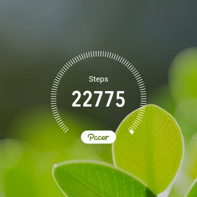 Travelwalker post 3