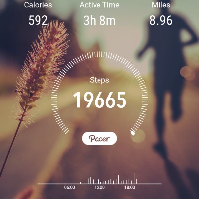Travelwalker post 2