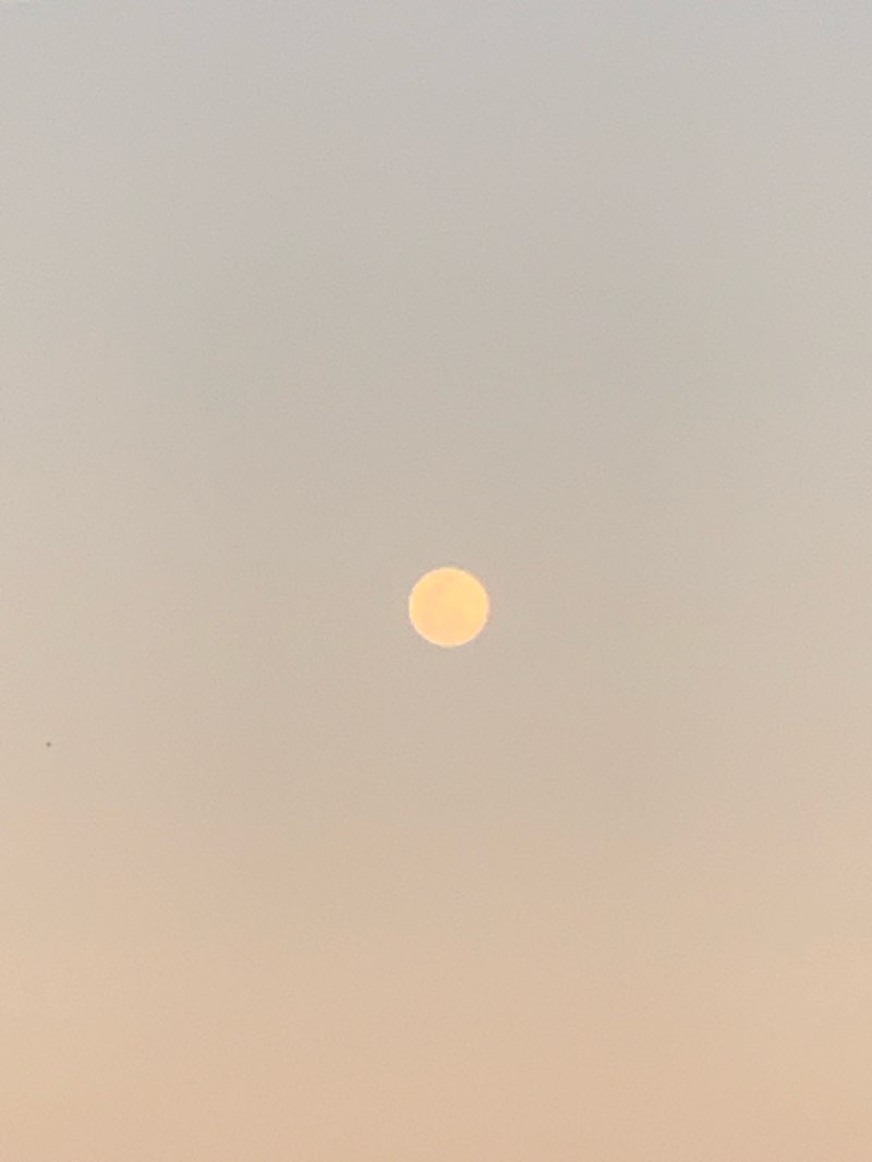 walking near me in Parque Héctor Zúñiga Rovira in winter