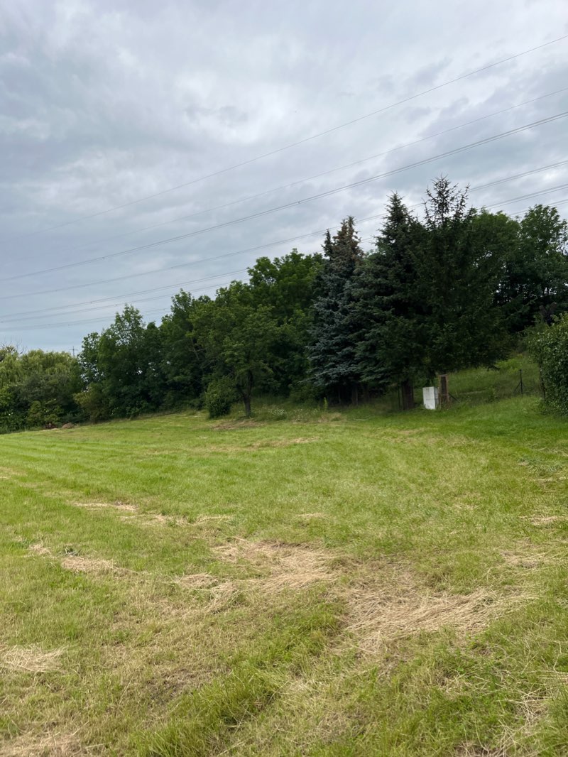 walking near me in Central park in winter