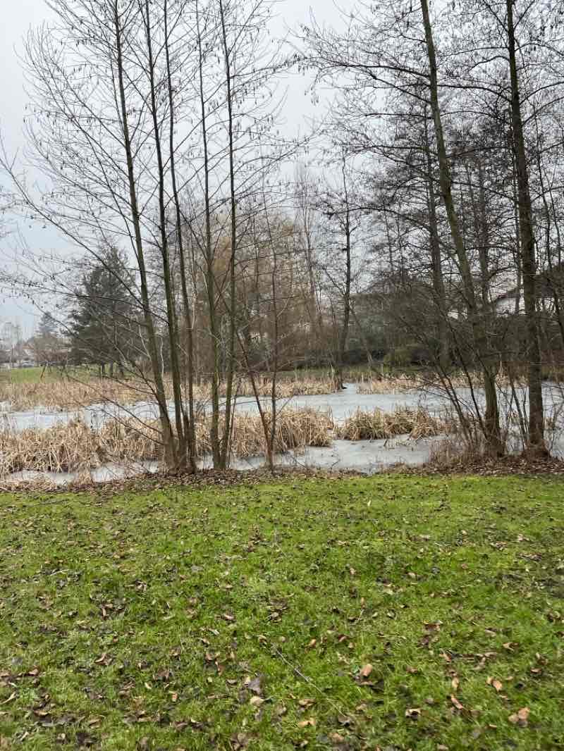 walking near me in Kubištovy sady in winter