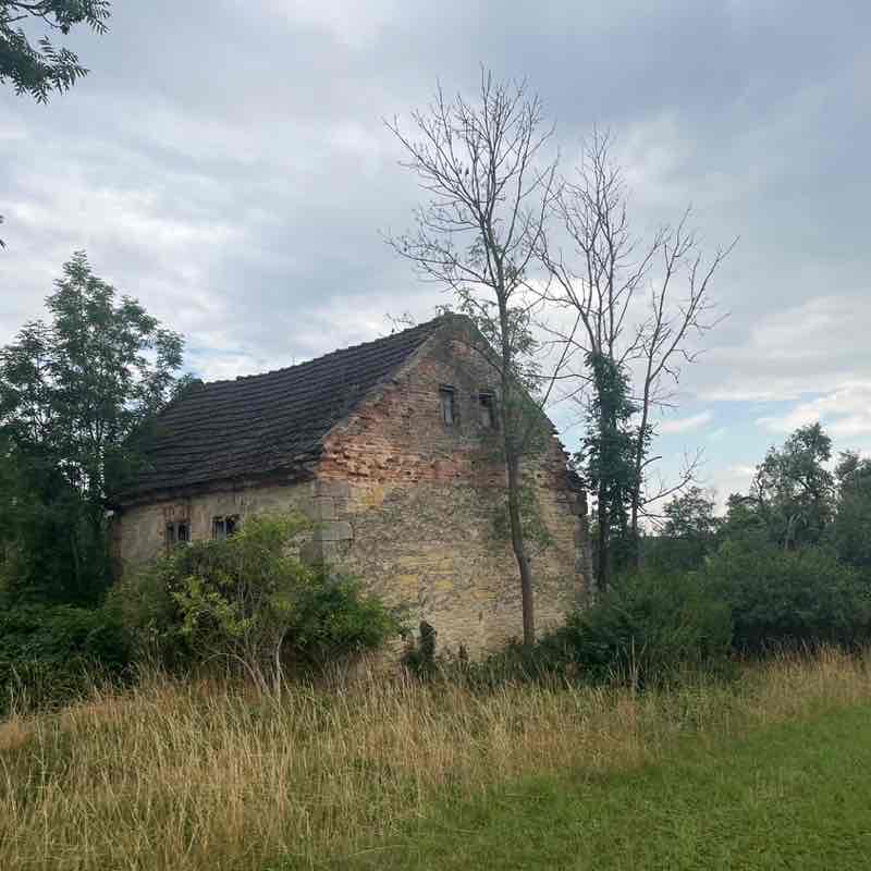 Michal post 2
