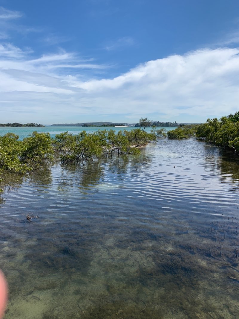 walking near me in Humphreys Reserve in summer