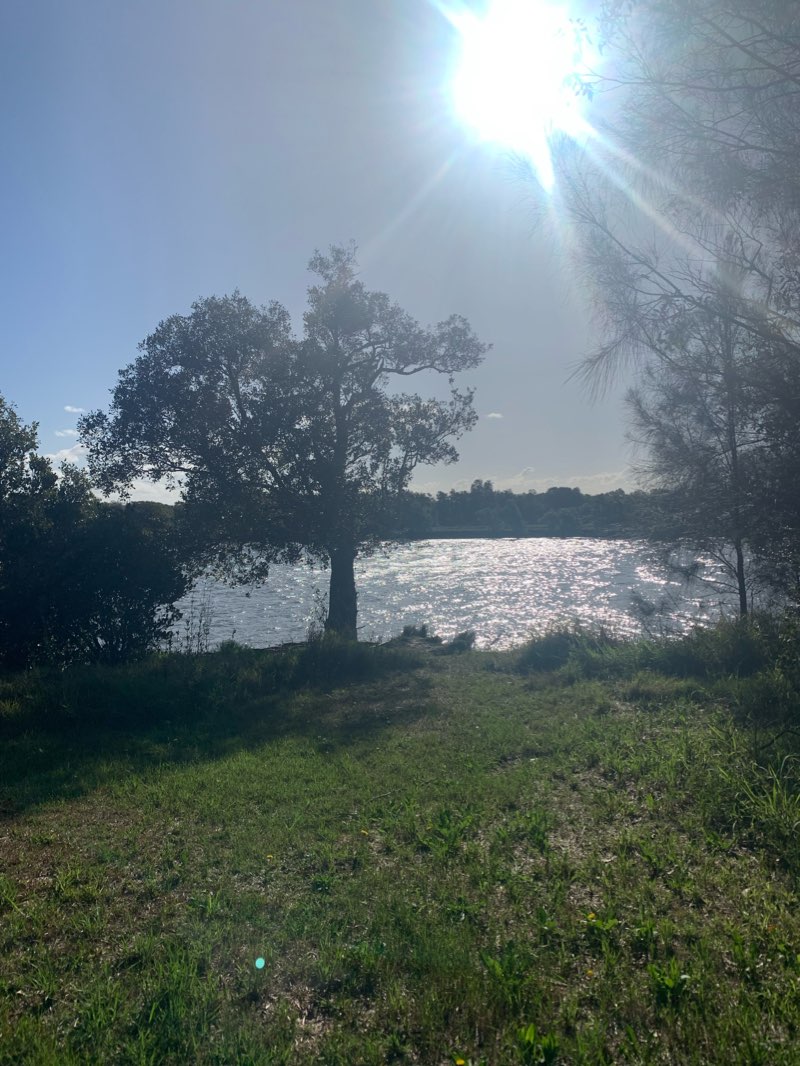 walking near me in Hunter Wetlands National Park in summer