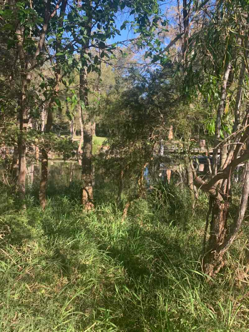 walking near me in Warner's Bay Foreshore in summer