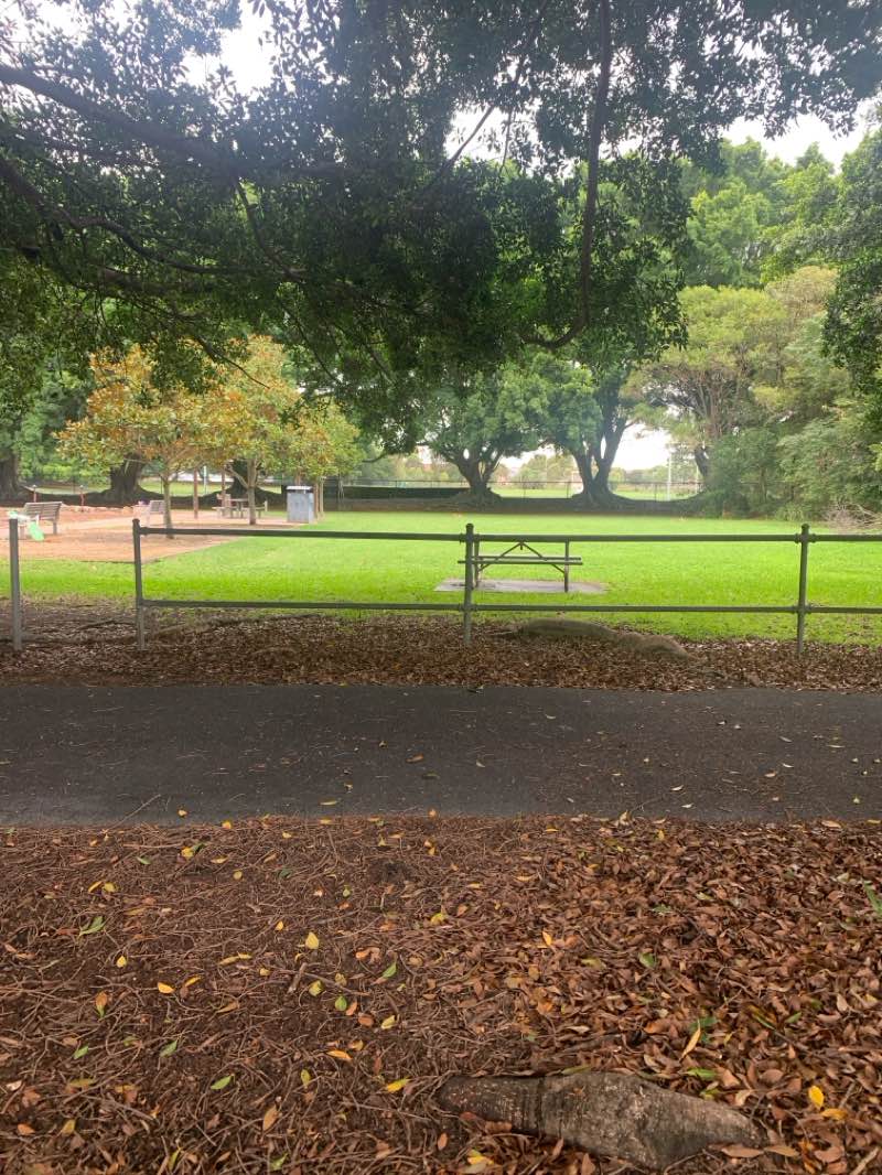 walking near me in Wickham Park in summer