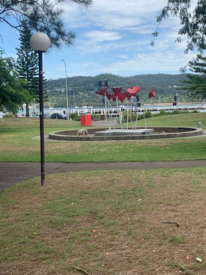 walking near me in Gosford Rotary Park in summer