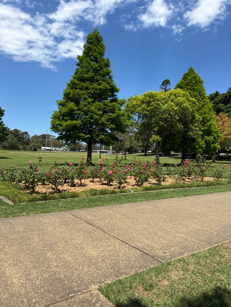 walking near me in Lambton Park in spring